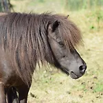 Landgut 3*