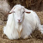 Landgut