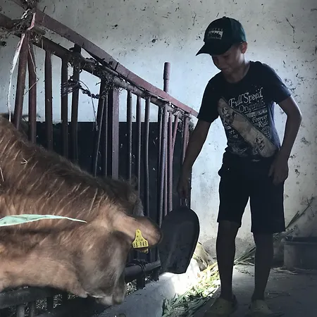 Landgut
